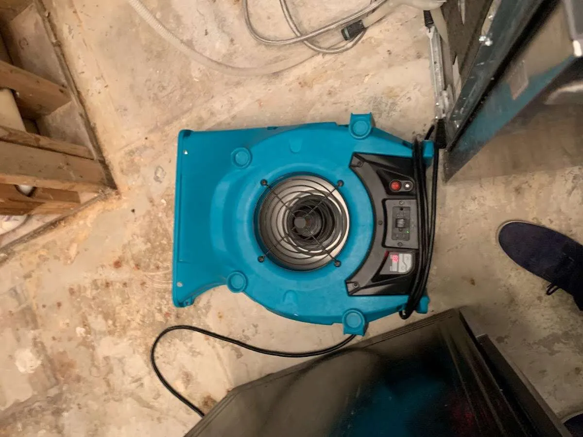 Air mover drying equipment for Mold Remediation & Removal in Clermont